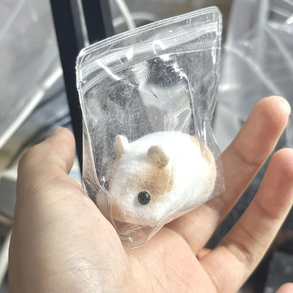 Handmade Guinea Pig Taba Squishy Toy