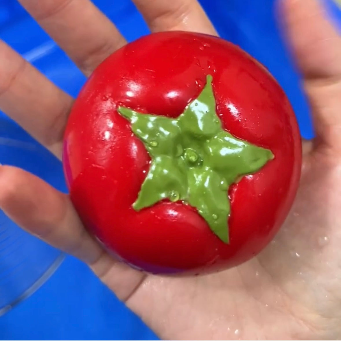 Handmade Tomato Taba Squishy Toy