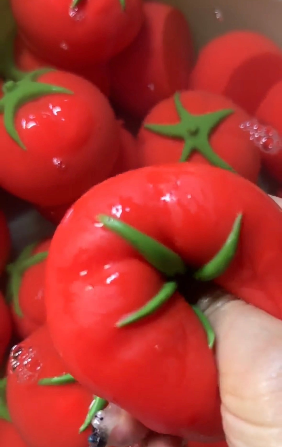 Handmade Tomato Taba Squishy Toy