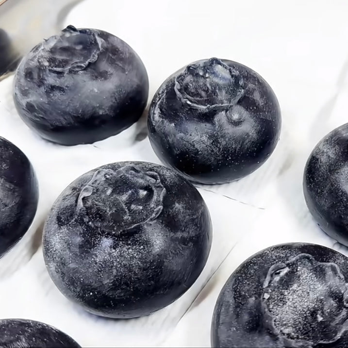 Handmade Blueberry Taba Squishy Toy