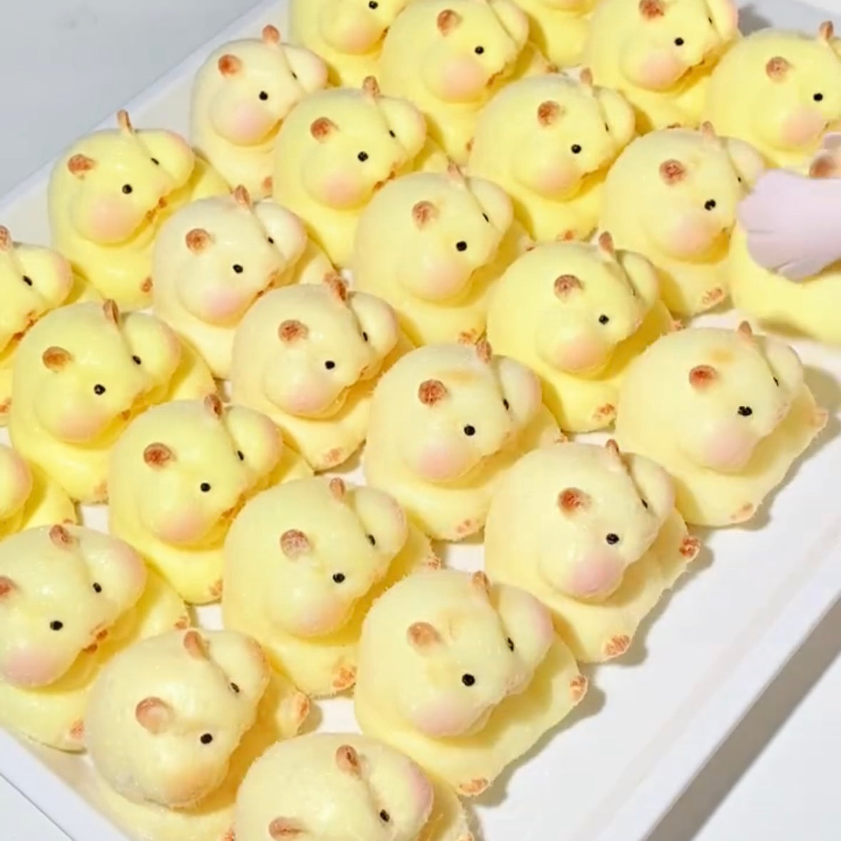 Squishy Hamster Stress Relief Taba Squishy Toy with Flocking