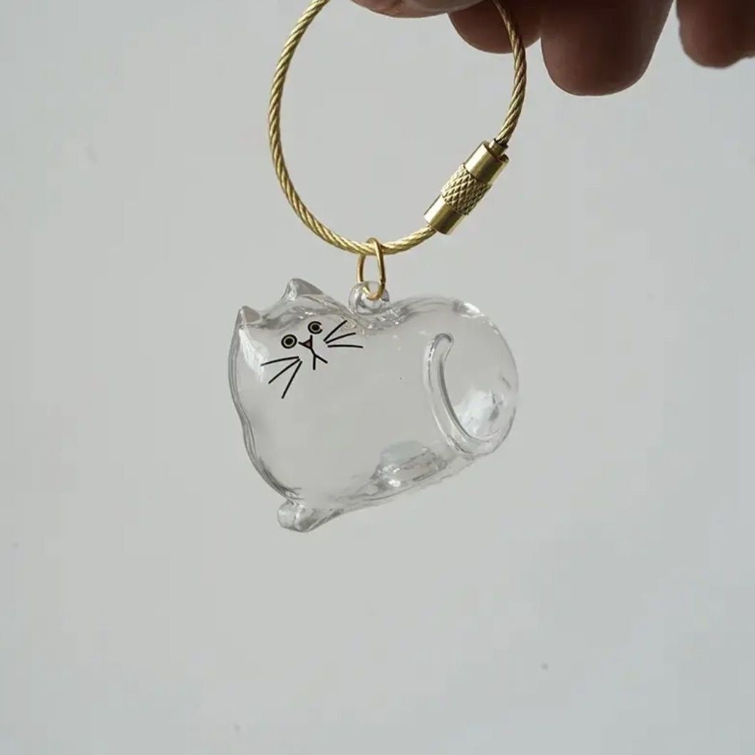 6pcs Transparent Cat Hair Storage Box Cat Hair Storage Capsule Keychain (Not Include Cat Hair)