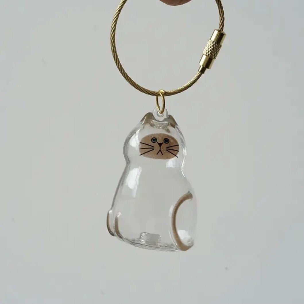 6pcs Transparent Cat Hair Storage Box Cat Hair Storage Capsule Keychain (Not Include Cat Hair)