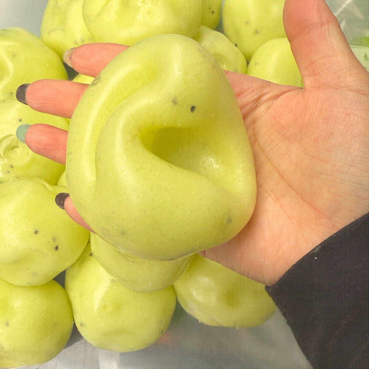Crisp Potato Satisfying Sound Stress Ball Squishy Stress Relief Decompression Toy