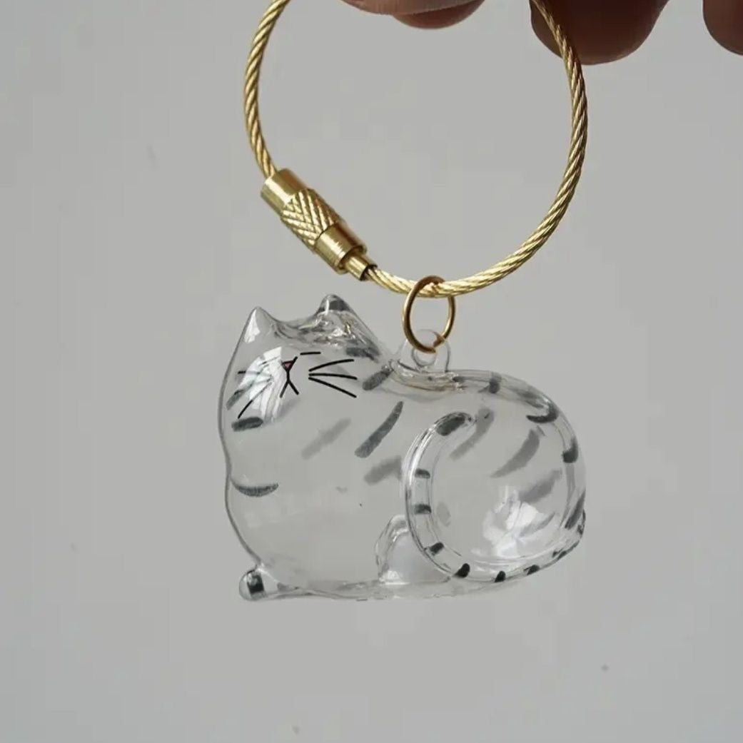 6pcs Transparent Cat Hair Storage Box Cat Hair Storage Capsule Keychain (Not Include Cat Hair)