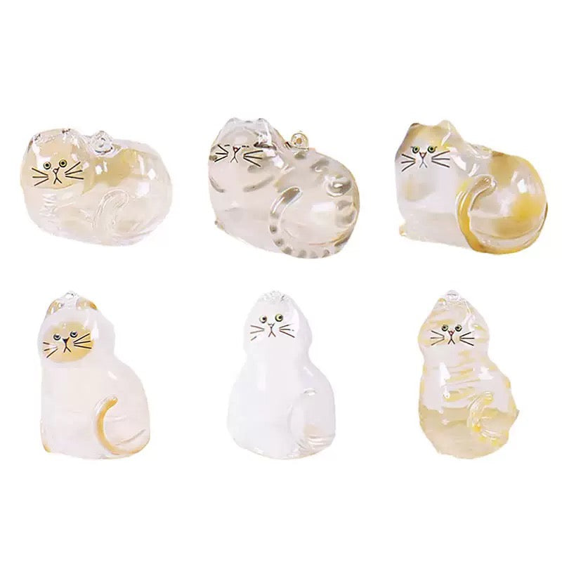 6pcs Transparent Cat Hair Storage Box Cat Hair Storage Capsule Keychain (Not Include Cat Hair)