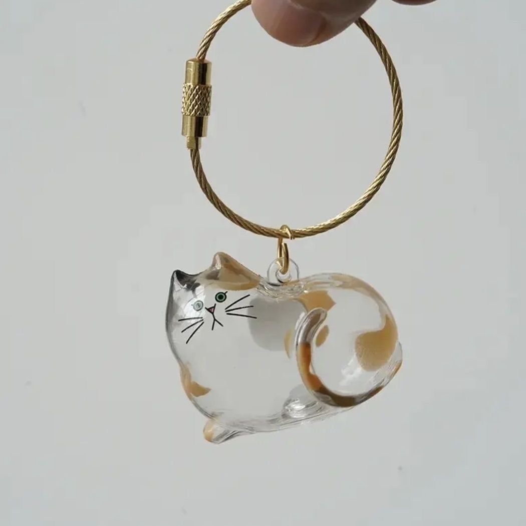 6pcs Transparent Cat Hair Storage Box Cat Hair Storage Capsule Keychain (Not Include Cat Hair)