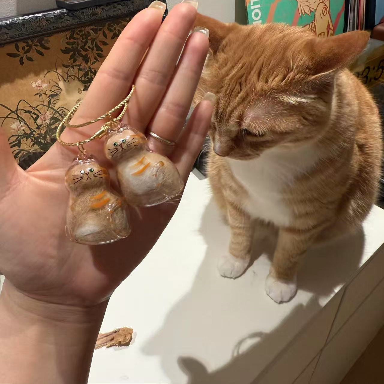 6pcs Transparent Cat Hair Storage Box Cat Hair Storage Capsule Keychain (Not Include Cat Hair)