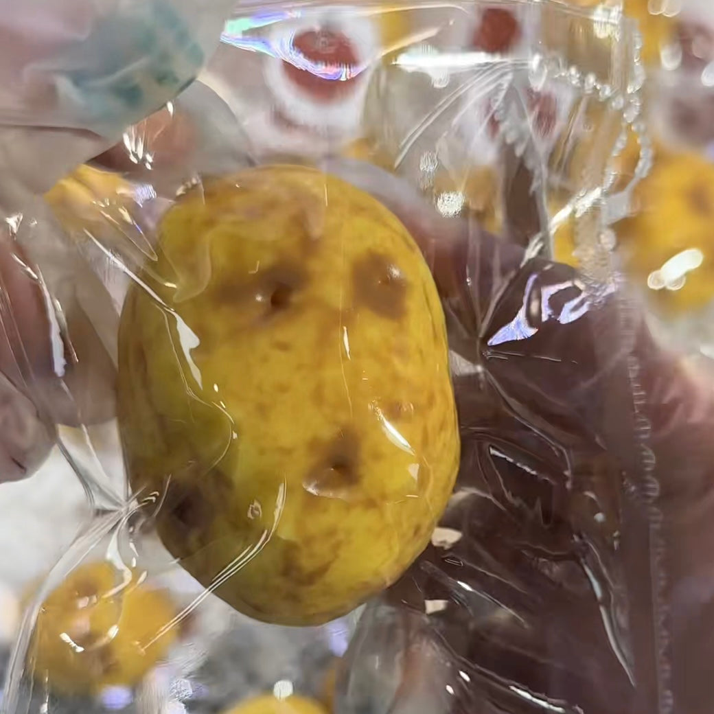 Handmade Potato Taba Squishy Toy