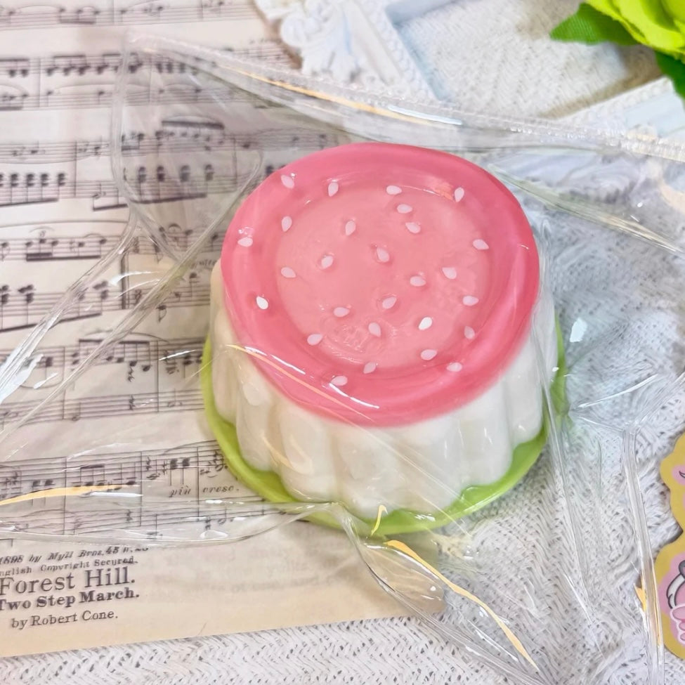 Watermelon Pudding Taba Squishy Toy
