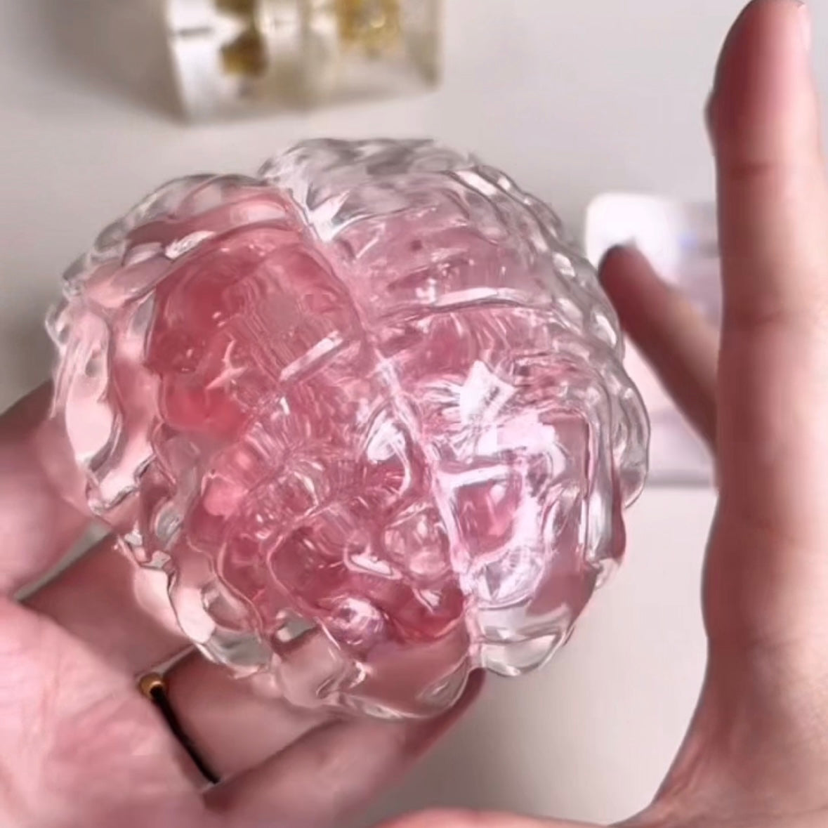 Handmade Transparent Strawberry Brain Taba Squishy Toy