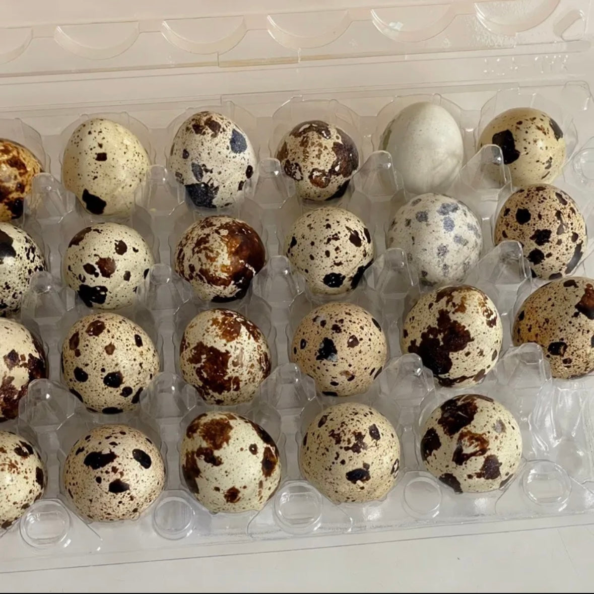 3pcs Quail Eggs Stress Relief Taba Squishy Toy