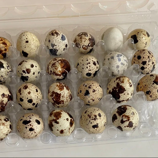 3pcs Quail Eggs Stress Relief Taba Squishy Toy