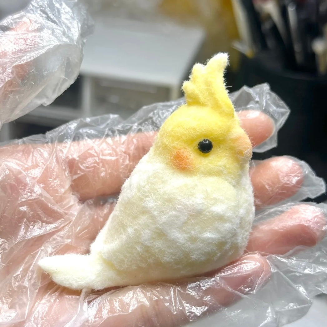 Handmade Parrot Taba Squishy Toy