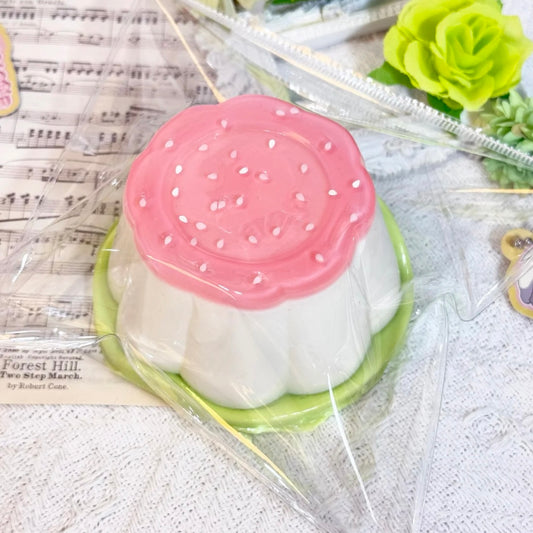 Watermelon Pudding Taba Squishy Toy
