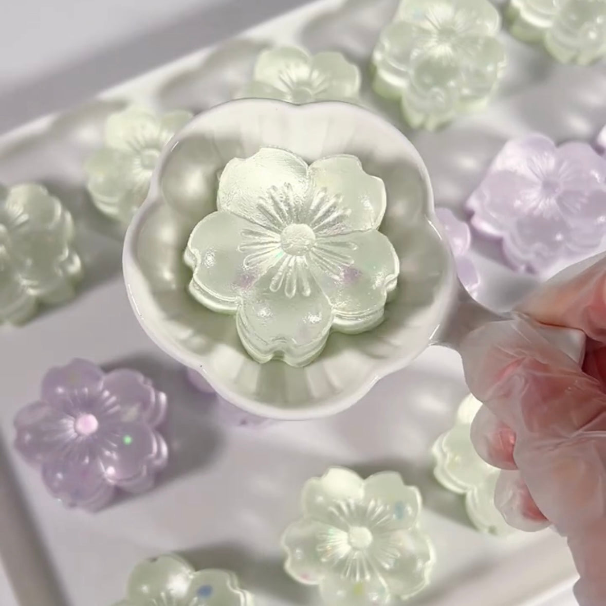 Transparent Flowers Taba Squishy Toy