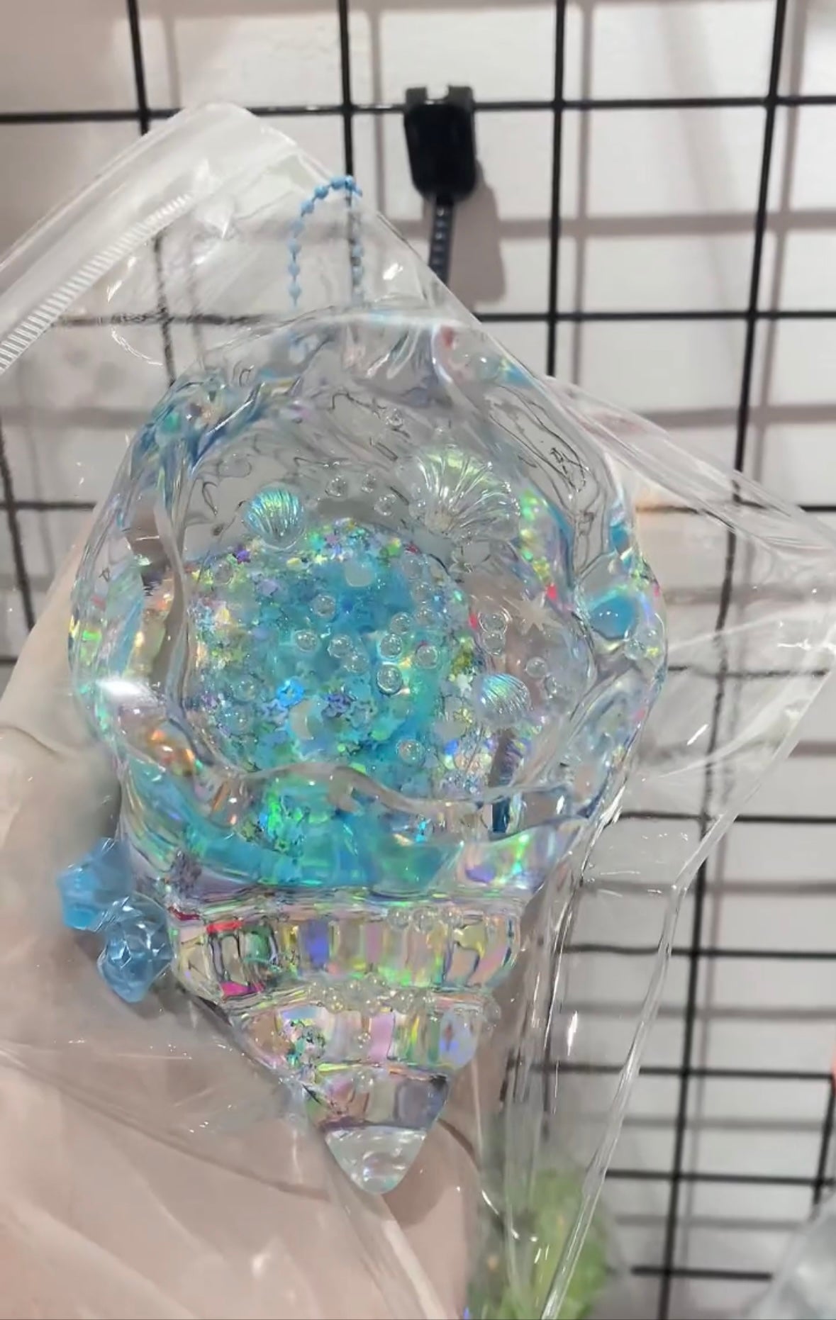 Transparent Whelk Conch Taba Squishy Toy - Christmas Series
