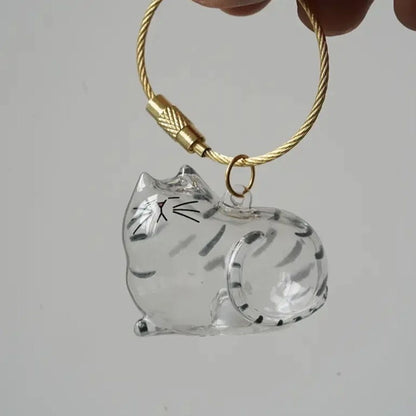 6pcs Transparent Cat Hair Storage Box Cat Hair Storage Capsule Keychain (Not Include Cat Hair)