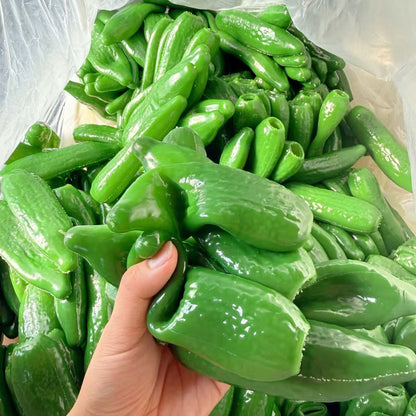 Cucumbers Ball Skin with Seal
