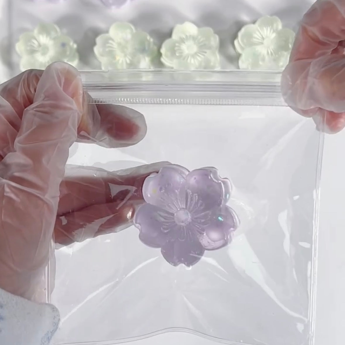 Transparent Flowers Taba Squishy Toy