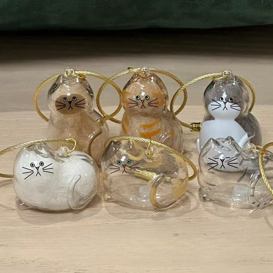 6pcs Transparent Cat Hair Storage Box Cat Hair Storage Capsule Keychain (Not Include Cat Hair)