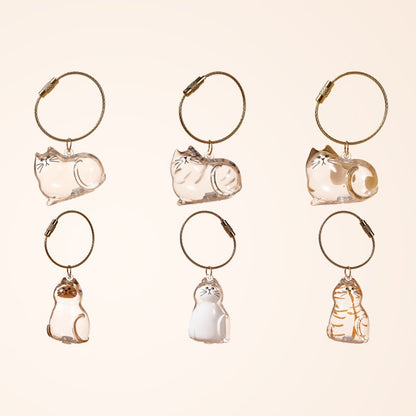 6pcs Transparent Cat Hair Storage Box Cat Hair Storage Capsule Keychain (Not Include Cat Hair)